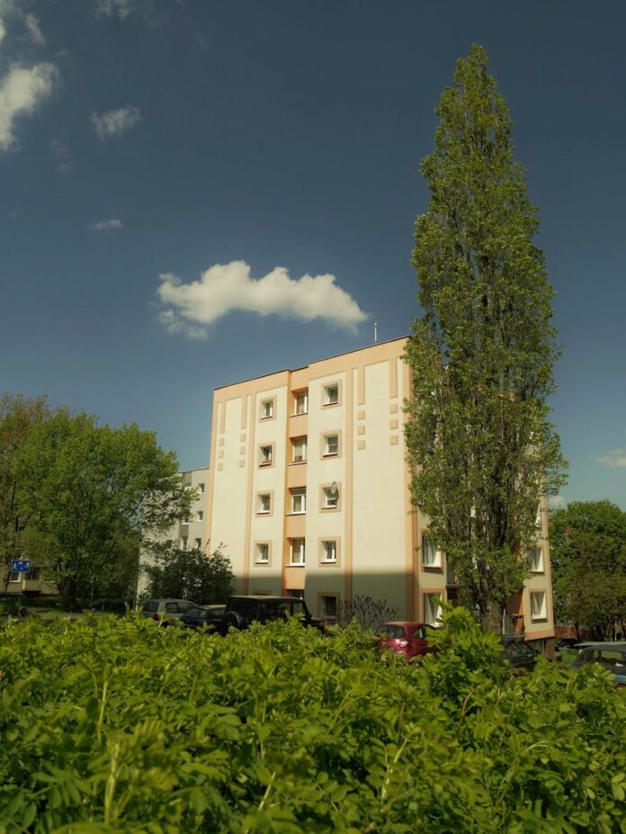 Trendy w handlu detalicznym na lokalnym rynku Radomska